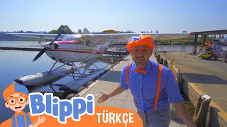 Blippi Deniz Uçağı Keşfediyor Blippi Türkçe - Çocuklar Için Eğitici Videolar Türkçe Dublajlı