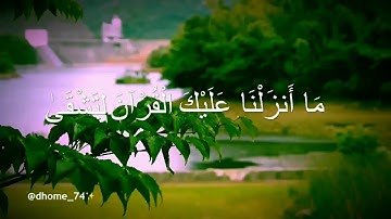 ناصر القطامي | بداية سورة طه - مقطع قصير -