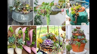 40+ Creative ideas DIY cheap Succulent Container for your garden