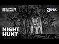 Lions' Hunting Behavior and Strategies