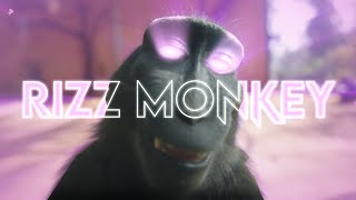 THE RIZZ MONKEY