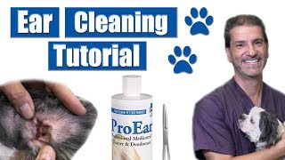 How To Clean Dog Ears | Pet Grooming Tutorial