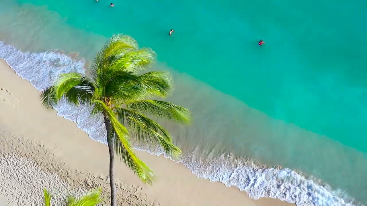 A Quick Look At Hawaii