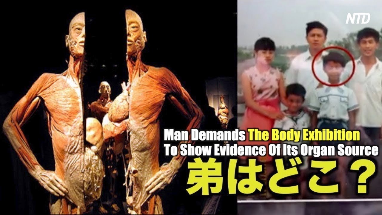 イーサン ガットマン氏 人体展死体のdna鑑定を 人体の不思議展 Real Bodies Youtube イーサン ガットマン氏 人体展死体のdna鑑定を 人体の不思議展 Real Bodies Youtube