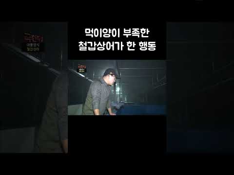 벽에 올라타려는 철갑상어 #shorts