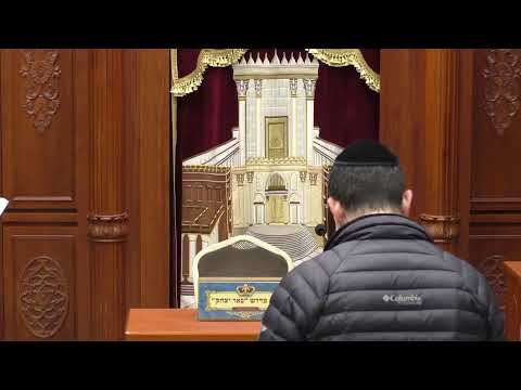 שיעור חי  -הרב דוד לוי משלי ובשעה 20:15 שיעור הלכה עם הרב פנחס רז