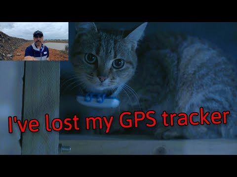 TIPS FOR FINDING YOUR LOST TRACTIVE GPS CAT TRACKER #gpstracker#cats#catracker #pettracker #pets