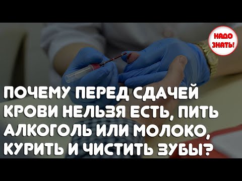 Почему перед сдачей крови нельзя есть, пить алкоголь или молоко, курить и чистить зубы?