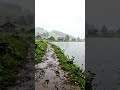 Peaceful Countryside Walk: Rain &amp; Nature Sounds | Relaxing ASMR POV