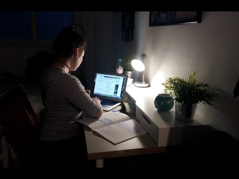 Mauvaise connexion internet ? En Corse, jusqu'à 350 € d'aides pour réduire la fracture numérique