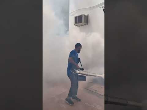    تفجير البعوض   