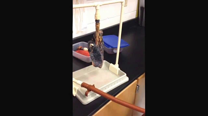 Healthy lung Vs. Cancer filled lung !!