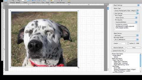 imagePROGRAF How to use Free Layout Mac