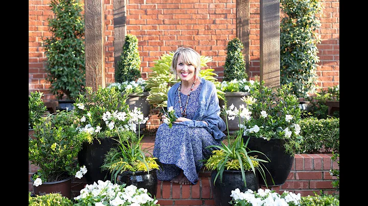 Southern Living Plant Collection // Jubilation Gar...