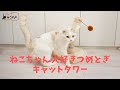 【バイヤー様向け】ねこちゃん大好きつめとぎキャットタワー【ペットプロ】