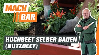 Hochbeet selber bauen (Nutzbeet) | OBI