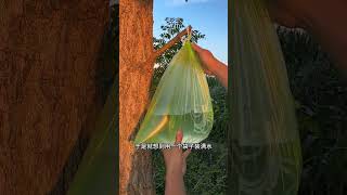 Outdoor Quick Shower Method Practical Tips Daily Life Tips Share Life Tips Tips Sharing