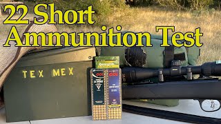 22 Short Ammunition Test