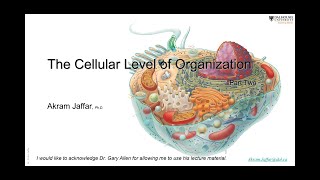 ANAT1010_3_Cell 2 + Anki flashcards