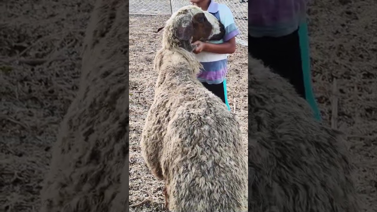 ١٤ يوليو ٢٠٢٥