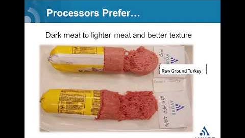 HPP Raw Protein Webinar