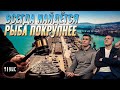 Маленькая история большого бизнеса. Порт Новороссийск.