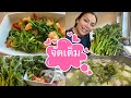 กวางตุ้ง(คะน้าฝรั่ง) ผัดกุ้งนำ้มันหอย#ต้มจับฉ่ายหมูสามชั้น. Conola Thai style cook.23/4/21.