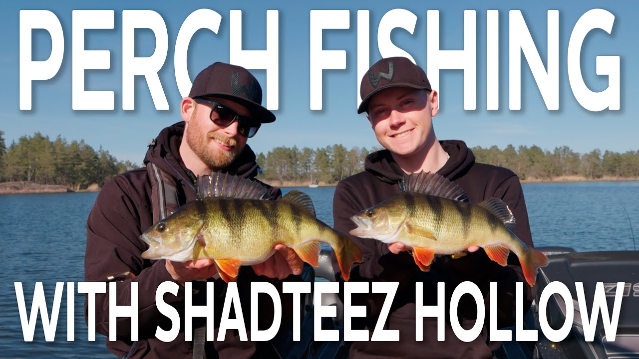 Perch Fishing with Shadteez Hollow | Westin Fishing