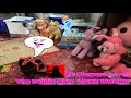 The MLP SHOW 2.0 Episode 3: The Twipie Date *GONE WRONG* ft Flowers