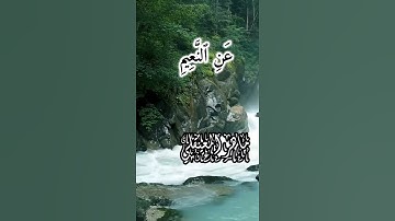 الشيخ ماهر المعيقلي سورة التكاثر روعة