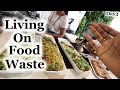 Living on Food Waste | Karma - Day3