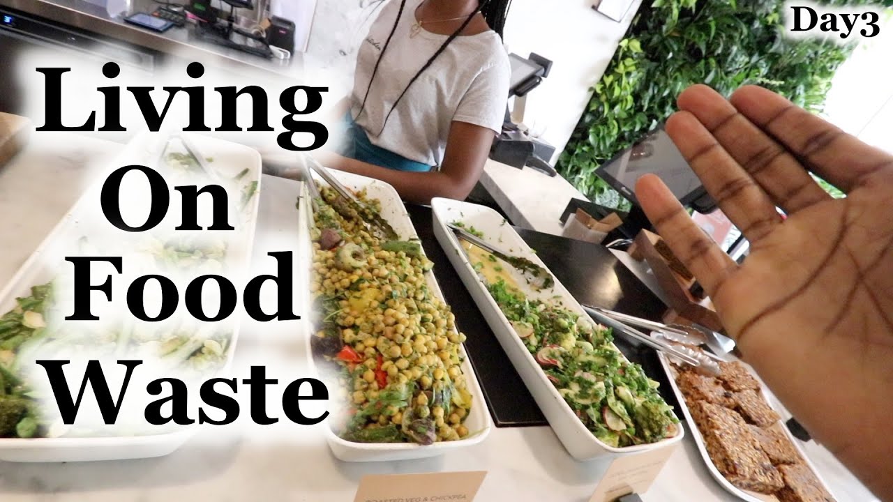 Living on Food Waste | Karma - Day3