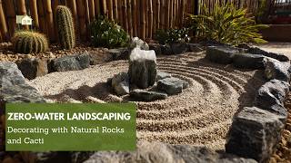 Zero-Water Landscaping: Decorating with Natural Rocks and Cacti