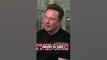 Elon Musk goes off on Larry Page about Google and AI