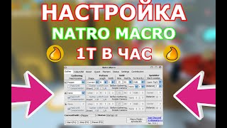 "Natro Macro" Настройка Макроса в Bee Swarm Simulator screenshot 5