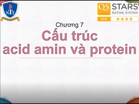 Video: Cấu trúc hóa học của protein là gì?