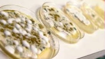 795 GermSensor Lessons Learned