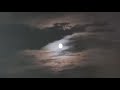 ALL/NOTHING (OFFICIAL VISUALISER)