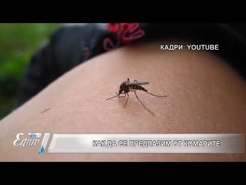 Видео: 3 начина за борба с комарите