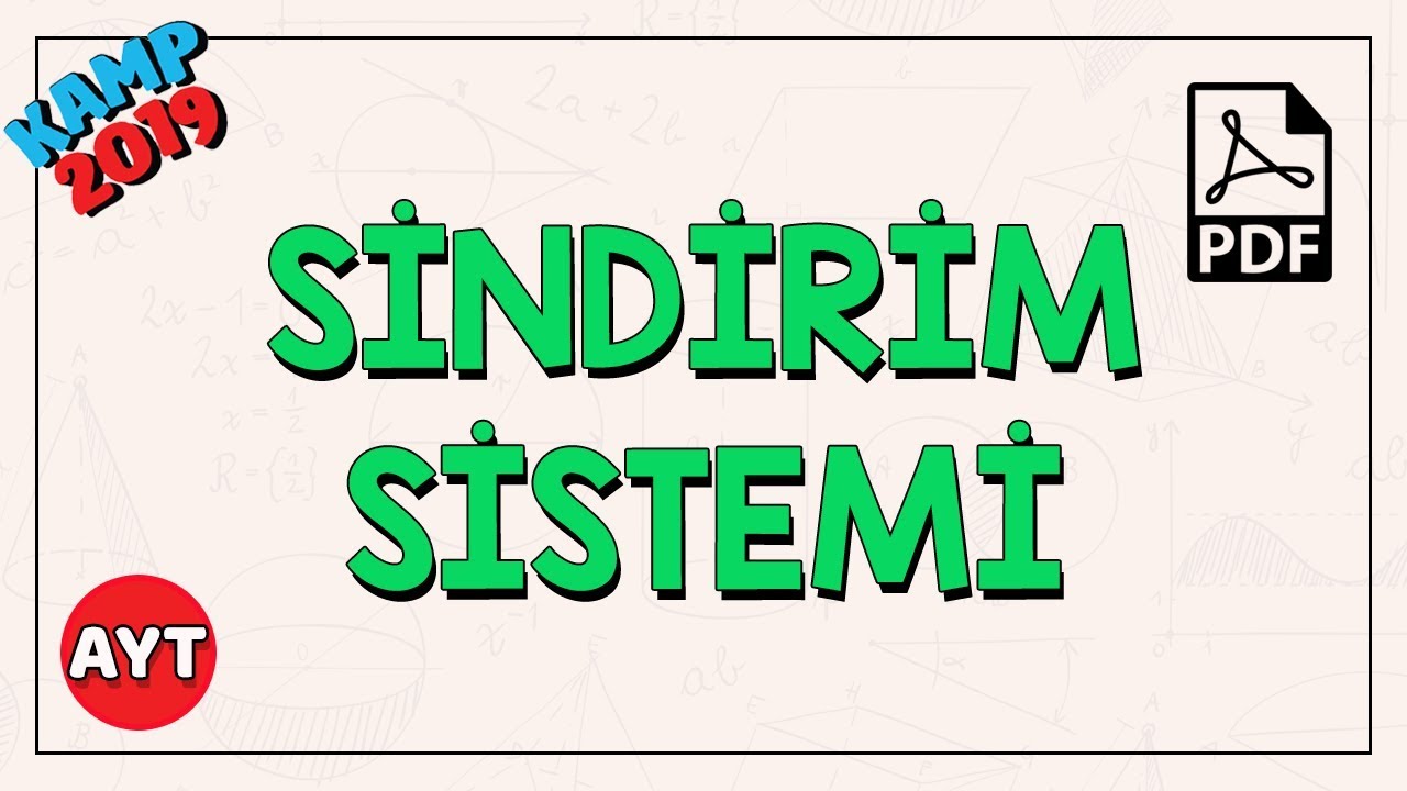 Sindirim Sistemi | AYT Biyoloji