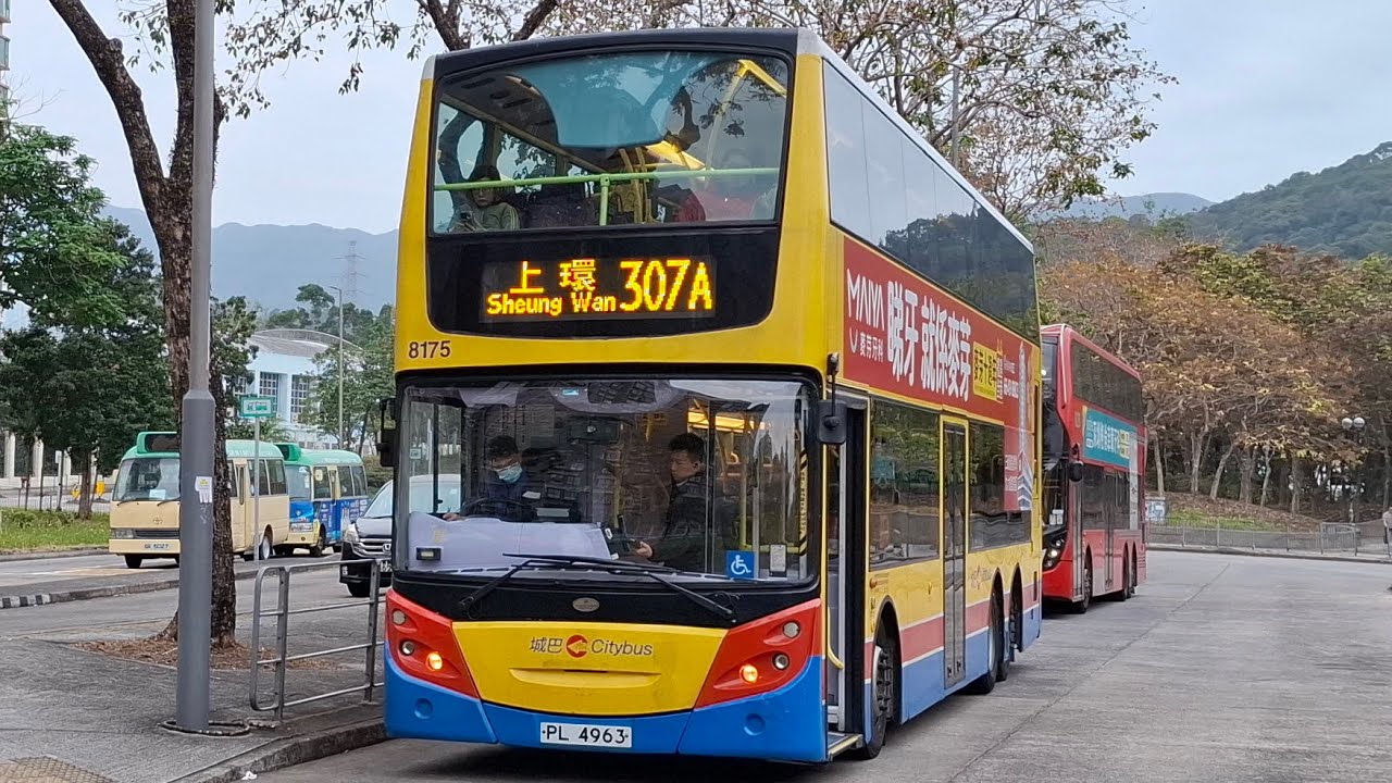 城巴307A由大埔頭往上環 車牌PL4963 車隊編號8175