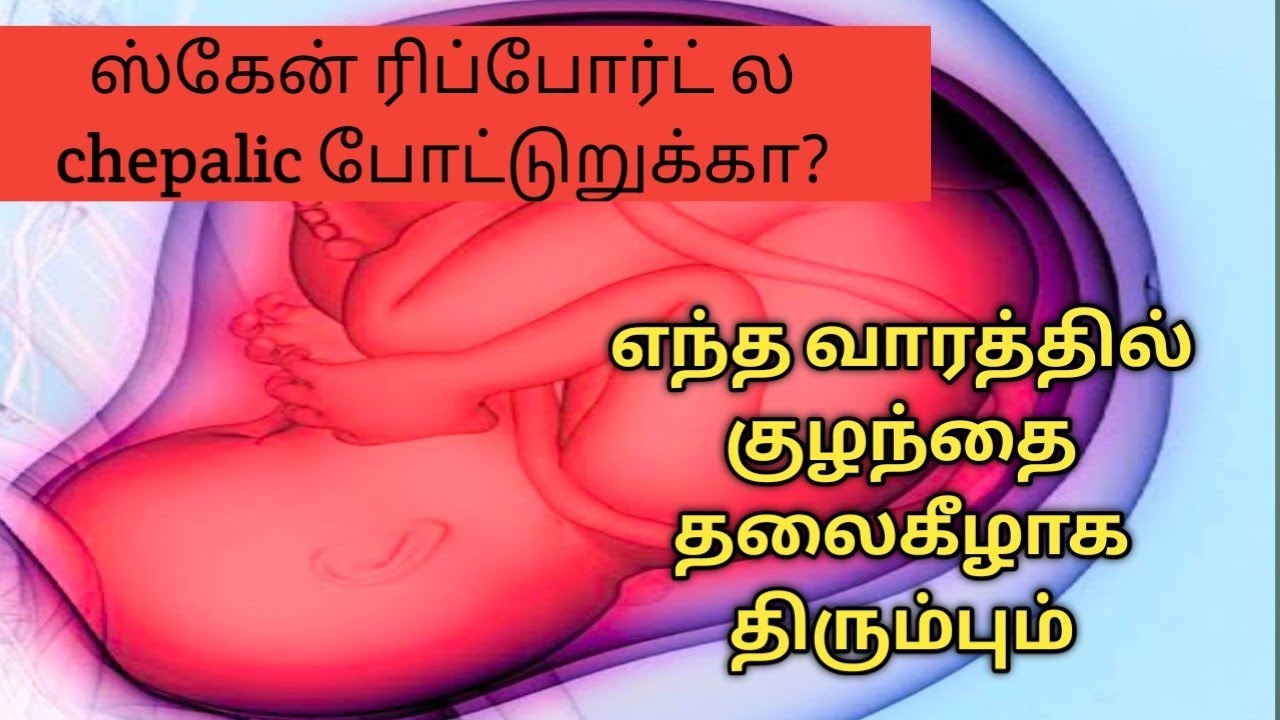 During presentation head down position in scan report and cephalic position தமிழில்..🤰🤰🤰🤰❤️❤️