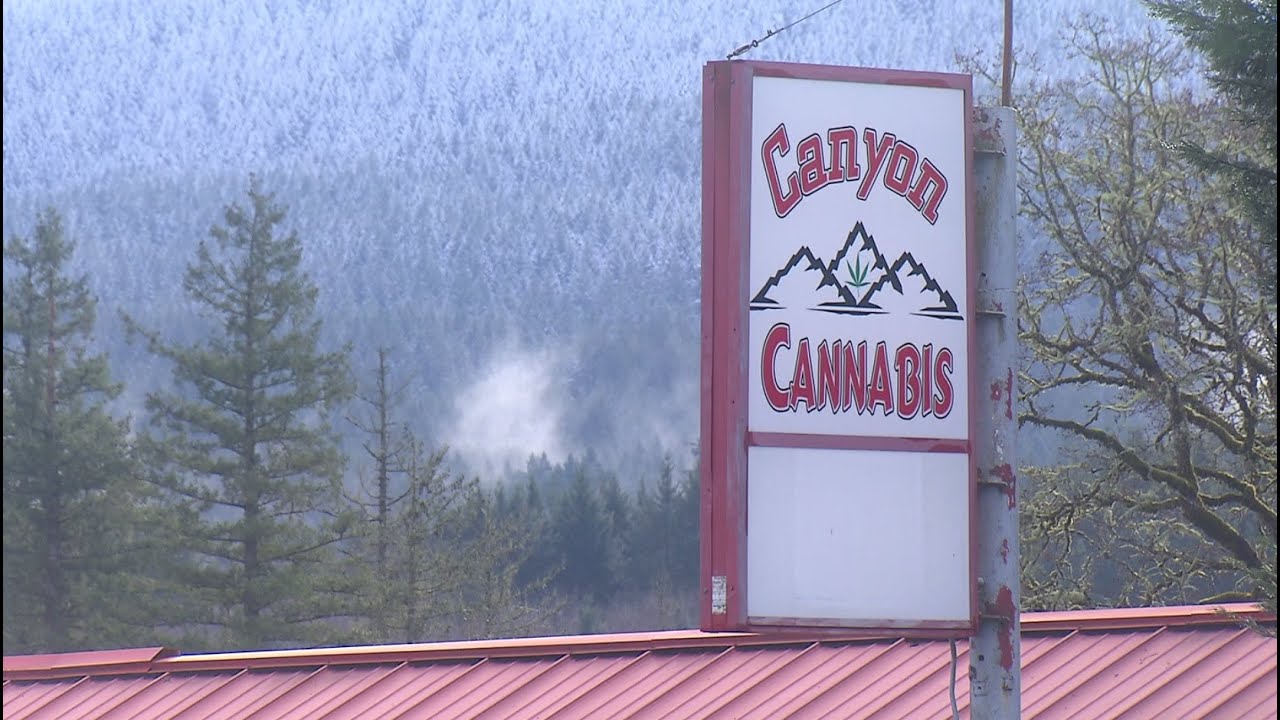 Oregon's small towns revel in weed tax windfall