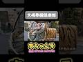 【大嶋拳闘倶楽部】寅ちゃん号🐯(提供KOTANO MOTORS)ついに納車です！！その様子をYouTubeチャンネル「大嶋宏成のごっつぁんすTV」にて公開中🙌🏻是非ご覧ください🙏