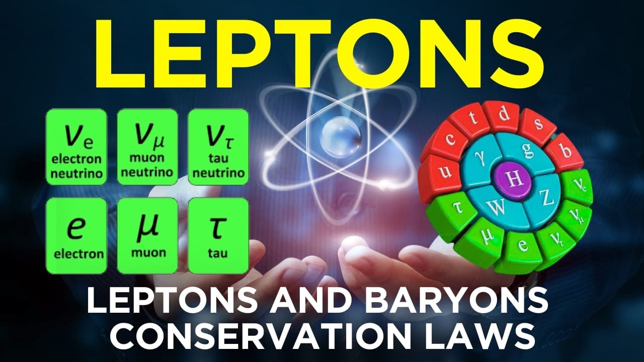 Class 11 Physics | Particle Physics Explained | Quarks, Leptons, Bosons ...
