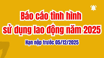 Báo cáo tình hình sử dụng lao động năm 2025 trực tuyến trên dịch vụ công