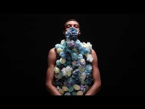 Sipo - Pas D'Epines Sans Roses (Audio)