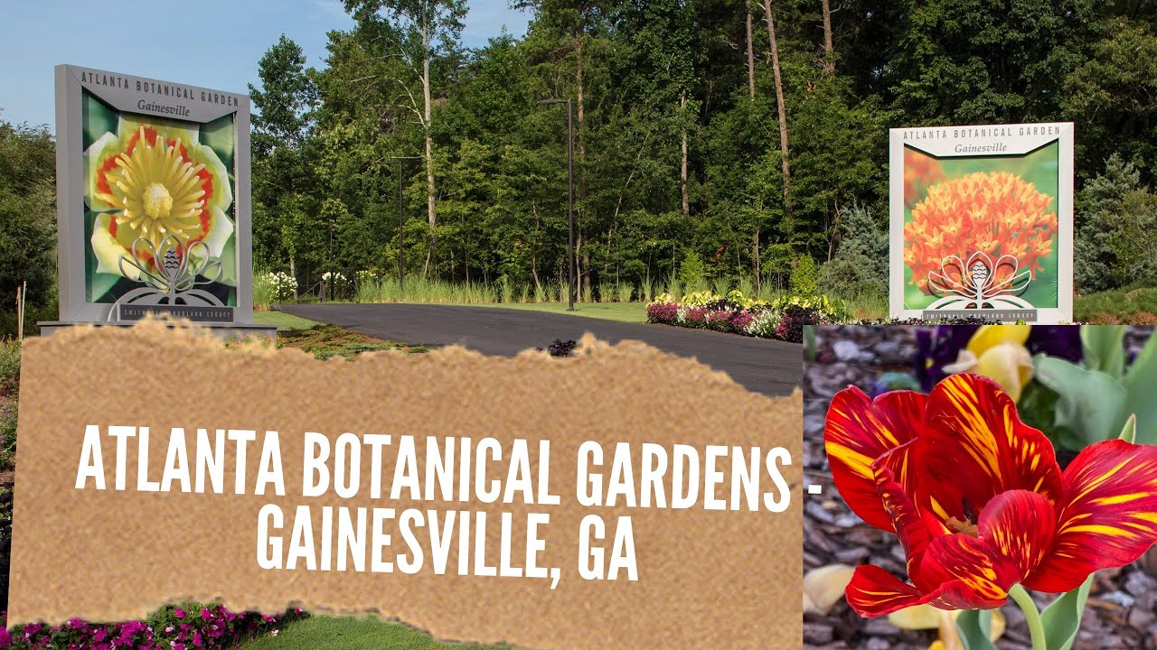 Are Dogs Allowed In Gainesville Botanical Gardens