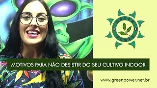 Motivos para não desistir do Cultivo Indoor Green Power Grow Led