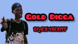 Video thumbnail of "Black Sheriff - Gold Digga (Lyrics Video)"